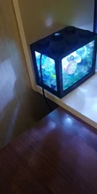 Mini acuario con lámpara LED USB para peces betta, tanque para peces con luz para lucha de peces