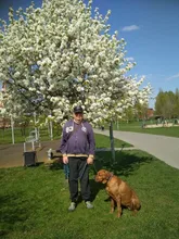 Window-Sealing-Strip Rubber Car-Door Dusting Noise-Insulation Self-Adhesive Soft 5M