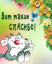 Jaula de señuelo de pesca de acero inoxidable, jaula de cebos S/M/L, trampa de pesca con fondo redondo, sirve como soporte, aparejos de pesca, 1 unidad