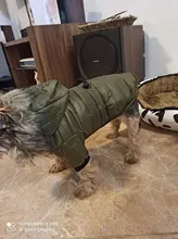 Hoodie Clothing Pet-Jacket Dog-Coat Small Dogs Chihuahua For Yorkshire Winter Cotton