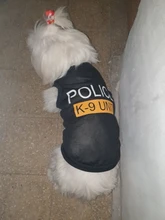 Traje de policía para Cosplay de perros y gatos, chaleco elástico negro, camiseta de cachorro, accesorios, ropa, disfraces