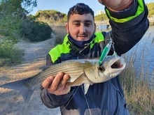 Rompin-Anillos ovalados de división ovalada de acero inoxidable, surtido de señuelos giratorios, emerillones de pesca, Conector de aparejos de 16, 18 y 21mm, 50 unids/lote