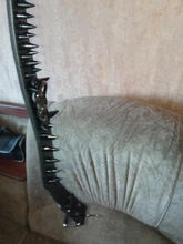 Dog-Collar Studded Spikes Pitbull Large Dog High-Quality Mastiff Big with Black Sharp