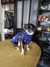 Abrigo para perros, ropa gruesa de perro cachorro cálido con capucha para Chihuahua, caniche, Bichon