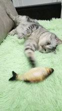 8 Styles Fun Catnip Toys For Cats Simulation Fish Plush Cat Pet Toys Cats Products For