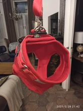 Dog Cat Harness Reflective Vest Pet Chest Strap Mesh Breathable Dog Harness And Walking