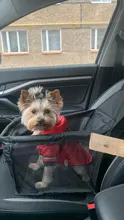 DEKO-Protector para asiento de coche para perros, hamaca plegable de viaje, Protector para mascotas, bolsas colgantes de malla, cesta para el cuidado de gatos, estera impermeable para mascotas