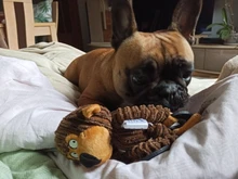 Juguete para mascotas de pana en forma de Donkey, juguete para morder de pana para perro, cachorro, muñeco de felpa con sonido, suministros para Entrenamiento de mascotas