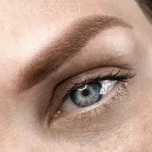 Cartucho con aguja para tatuaje semipermanente, accesorio para máquina de tatuar de RL/M1/RM profesional, desechable, para labio y maquillaje, por 10 uds.