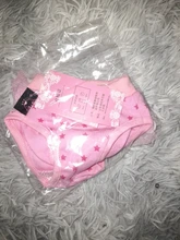 Pantalones fisiológicos sanitarios para mascotas, pañal lavable para perros, bragas, ropa interior para menstruación