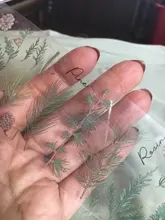 Mr.paper-paquete de 6 pegatinas de la serie Plant, pegatinas decorativas de hojas lisas, calcomanías para álbumes de recortes, Bullet Journal, pegatinas de papelería