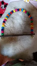 Columpio de madera Natural para loros, jaula colgante para mascotas con cuentas de colores, suministros para pájaros, campanas, juguetes, 1 unidad