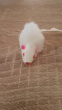 pawstrip Rabbit Fur False Mouse Pet Cat Toys Feather Rainbow Ball Toy Cayts Funny Playing