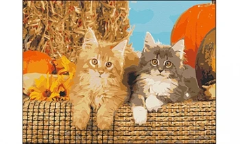 Painting by numbers on canvas 30x40 cm "kittens and pumpkin" Red Cat pp023
Painting by numbers on canvas 30x40 cm "kittens and pumpkin" Red Cat pp023