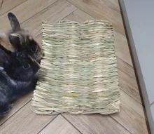 House-Pad Cage-Bed Hamster Guinea-Pig Rabbit-Grass Small Animal Chew Mat