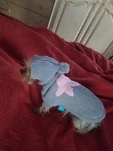 Sweater Puppy-Dog French Bulldog PETCIRCLE Teddy Chihuahau Winter Autumn Starfish Nordic