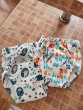 Pantalones de entrenamiento para bebé, orinal con dibujos animados, ropa interior para niños y niñas, bragas de algodón, cubierta de pañales reutilizables