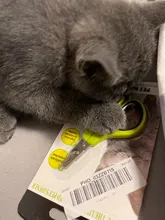 LanLan-cortauñas profesional portátil para gatos, Gato, tijeras, cortaúñas