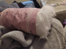 Tubos de juguete pequeños de conejillo de indias para hámster, túnel de primavera, jaula para hámster, casa de un solo canal, Chinchillas, juguete cálido