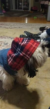 Chaleco vaquero de primavera para perros pequeños, ropa de Tzu para perros Yorkshire Terrier, ropa estilo vaquero para cachorros, chaqueta para Chihuahua, ropa para gatos