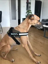 2 uds personalizado arnés del perro etiqueta nombre de Perro personalizado K9 Collar arnés para perro etiqueta engomada de la etiqueta de parche de arnés para perros etiqueta de nombre