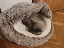 Cama de felpa redonda para mascotas nido de gato semicerrado para Comodidad para dormir profunda en invierno, cama para gatos, pequeña esterilla, cesta, perrera suave, novedad