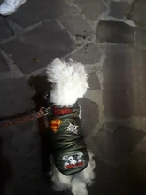 De invierno abrigo para perros ropa para perros cálido espesar sólido perro de colores ropa para perro pequeño perro rojo verde Navidad estilo perro grande chaqueta