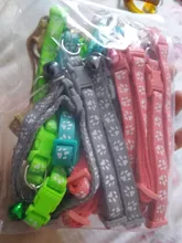 Bell-Collars Camo-Bell Safety Adjustable Wholesale Fashion Nylon 24pcs with Delicate