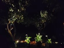 Spotlight Separately-Lamp Solar-Panel Garden-Tree Landscape Yard Warm T-SUNRISE 2 White