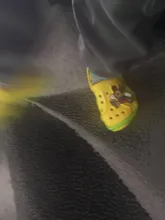 Chanclas para niños y niñas, sandalias de dibujos animados para usar en el interior, playa o para nadar, verano, 2019