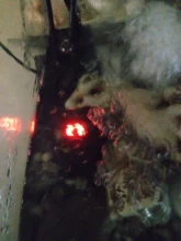 Aquarium-Heater Temperature-Controller Turtle-Tank Electricheating-Rods Digital 220-240V