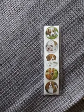 500 Uds lindo Animal perro pegatinas jungla fiesta cumpleaños regalo decoraciones torta etiquetas juguetes de fiesta para niños etiqueta personalidad álbum de recortes 1in