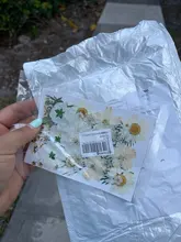 1 paquete Real secada de La Flor seca de las plantas para bricolaje molde Molde de resina rellenos de resina colgante collar joyería de uñas de arte UV Expoxy flor