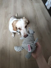 De pana de pana juguetes para perros pequeños perros grandes de forma de Animal felpa mascota cachorro chillón masticar juguete mordedor resistente accesorios de mascotas suministros