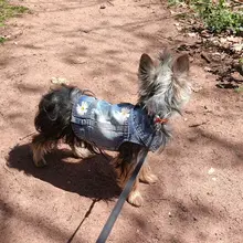 Chaleco vaquero de primavera para perros pequeños, ropa de Tzu para perros Yorkshire Terrier, ropa estilo vaquero para cachorros, chaqueta para Chihuahua, ropa para gatos