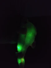 Muñeco de felpa luminoso y creativo para niños, juguete de felpa de 32cm con luz LED brillante, muñeco de delfín, almohada colorida