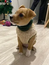 Scarf Jacket Dogs French Bulldog Winter Plush-Coat Pet-Dog Cotton Warm Thick for Puppy-Ropa-Perro