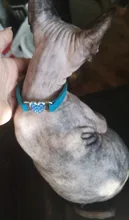 Collar de gato con campana para gatos, cachorros, collares correas para gatos, perros, Chihuahua, Gato, correas, suministros de plomo para mascotas