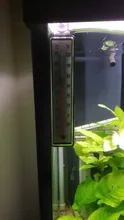1 Uds medidor de vidrio acuario temperatura del agua termómetro con bonita ventosa