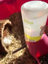 Botella de agua para mascota pequeña, cuenco alimentador de comida para mascota hámster, accesorios de alimentación
