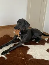 Calcetines de malla de algodón con volantes para bebés, accesorios de ropa para bebés de 0 a 3 años, 5 par/lote