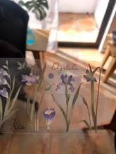 Mr.paper-paquete de 6 pegatinas de la serie Plant, pegatinas decorativas de hojas lisas, calcomanías para álbumes de recortes, Bullet Journal, pegatinas de papelería