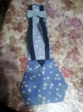 Pañal lavable para mascotas, diseño de lazo anudado, ropa de ganso y aves de corral con banda elástica, envío directo