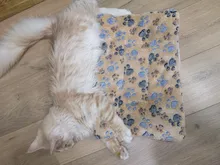 Super suave invierno gato perro caliente manta cama esteras almohadillas cómodo cachorro gatito sofá cojín para camas funda mantener caliente para dormir