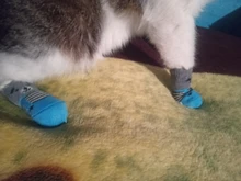 Calcetines para mascotas suaves antideslizantes con dibujos animados, calcetines para perros pequeños, transpirables, tallas S/M/L, 4 Uds.