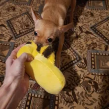 1pc Pet Dog Toys Squeak Plush Toys for Dogs Slipper Shape Dog Chew Toy Soft Plush Puppy