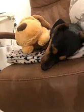 Juguete de entrenamiento de Mascota de peluche para cachorros, alivio de la ansiedad, ayuda para dormir, mordedores de juguete para perros