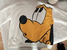 Disney Sweatshirts Pullover Mickey Mouse Wonderland Donald Duck Minnie Dumbo Women Long-Sleeve