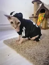 Suéter con capucha Para gato, Ropa cálida Para mascotas, Para gatos, Sphinx, satten, Ropa Para gatos, Kedi, Giyim, productos Para mascotas