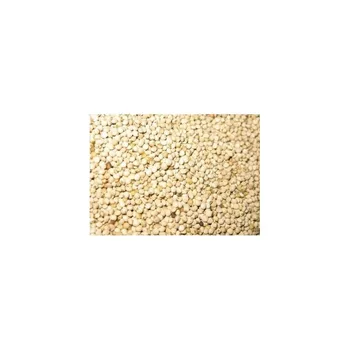 White Knob JARAD 700 gr.
White Knob JARAD 700 gr.